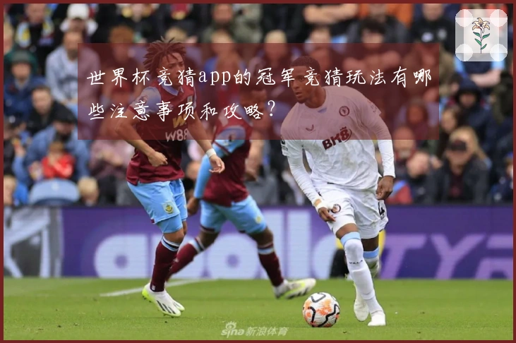 世界杯竞猜app的冠军竞猜玩法有哪些注意事项和攻略？