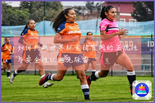 如何判断世界杯竞猜官网的正规性与安全性以避免踩雷