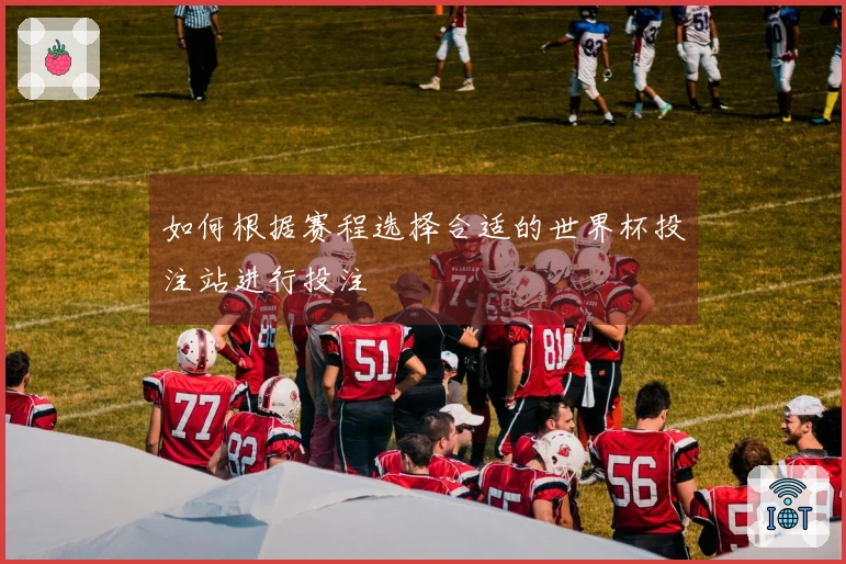如何根据赛程选择合适的世界杯投注站进行投注