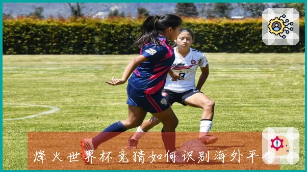 烽火世界杯竞猜如何识别海外平台的潜在风险与注意事项