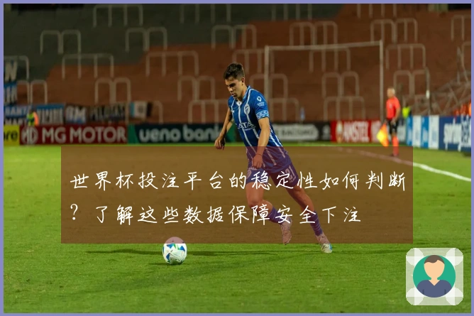 世界杯投注平台的稳定性如何判断？了解这些数据保障安全下注