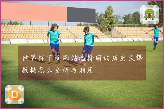 世界杯下注网站选择前的历史交锋数据怎么分析与利用
