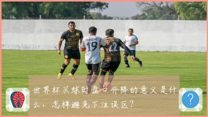 世界杯买球时盘口升降的意义是什么，怎样避免下注误区？