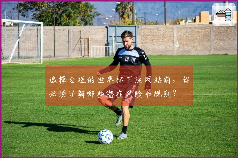 选择合适的世界杯下注网站前，你必须了解哪些潜在风险和规则？