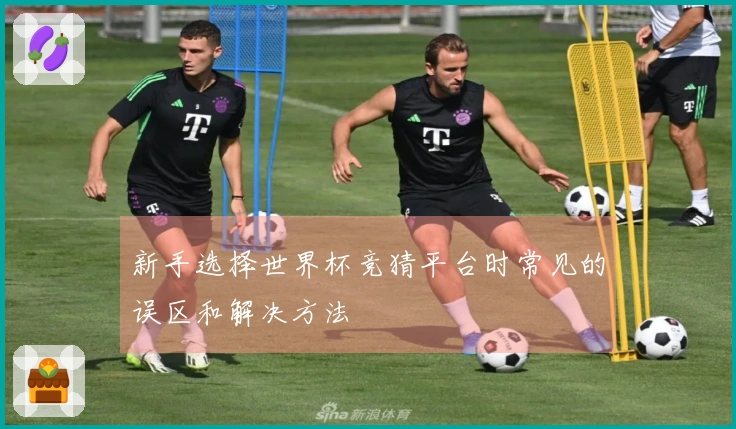 新手选择世界杯竞猜平台时常见的误区和解决方法