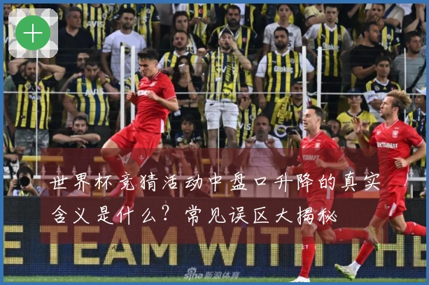 世界杯竞猜活动中盘口升降的真实含义是什么？常见误区大揭秘