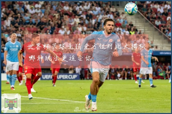 世界杯买球竞猜全方位对比大揭秘 哪种玩法更适合你