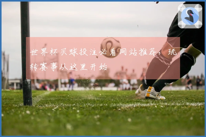 世界杯买球投注必看网站推荐，玩转赛事从这里开始