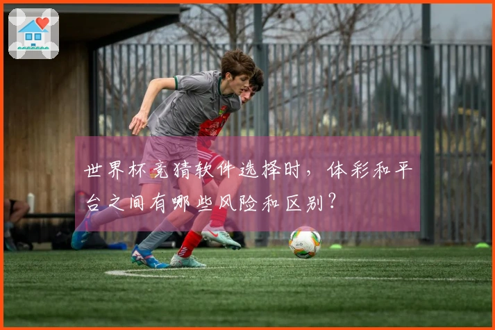 世界杯竞猜软件选择时，体彩和平台之间有哪些风险和区别？