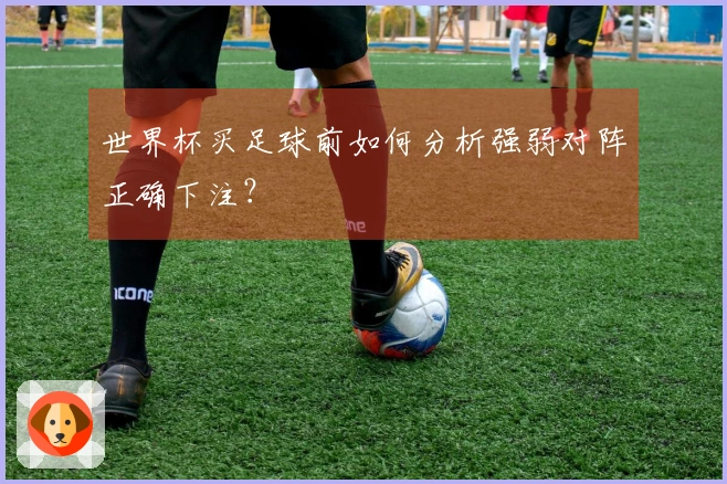世界杯买足球前如何分析强弱对阵正确下注？