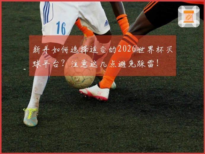 新手如何选择适合的2026世界杯买球平台？注意这几点避免踩雷！