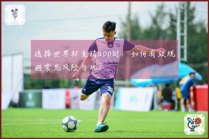 选择世界杯竞猜app时，如何有效规避常见风险与坑？