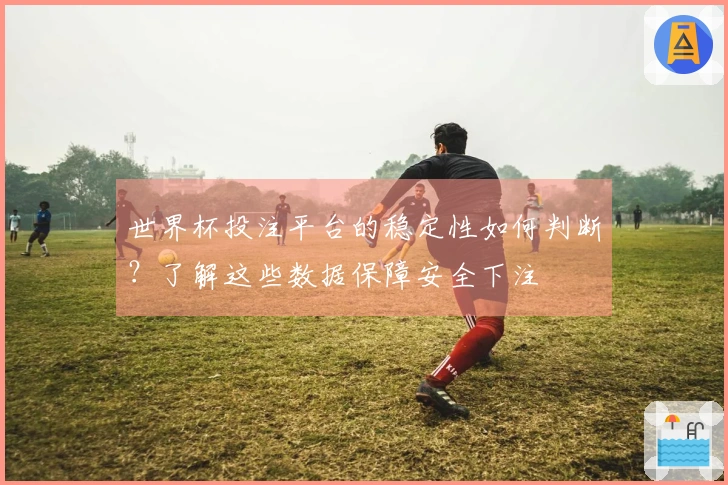 世界杯投注平台的稳定性如何判断？了解这些数据保障安全下注