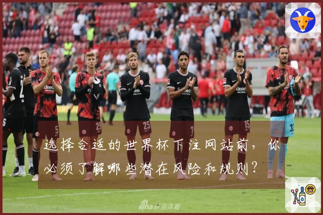 选择合适的世界杯下注网站前，你必须了解哪些潜在风险和规则？