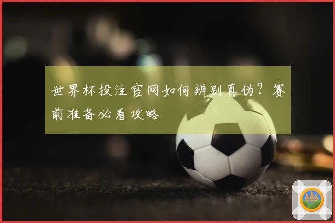 世界杯投注官网如何辨别真伪？赛前准备必看攻略