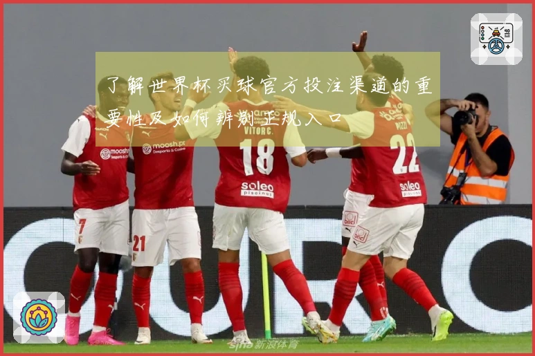 了解世界杯买球官方投注渠道的重要性及如何辨别正规入口