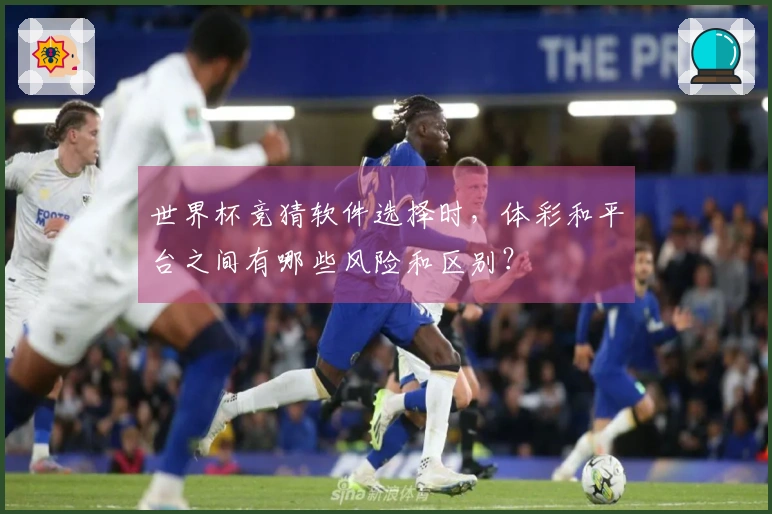 世界杯竞猜软件选择时，体彩和平台之间有哪些风险和区别？