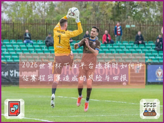 2026世界杯下注平台选择时如何评估赛程密集造成的风险与回报