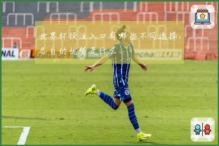 世界杯投注入口有哪些不同选择，各自的优势是什么