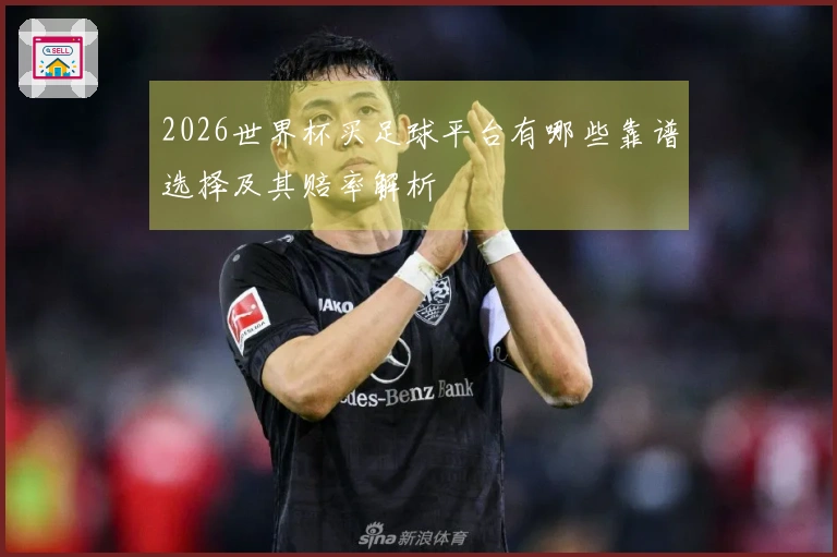 2026世界杯买足球平台有哪些靠谱选择及其赔率解析