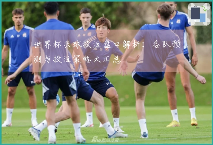 世界杯买球投注盘口解析：各队预测与投注策略大汇总