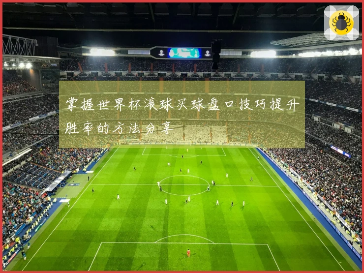 掌握世界杯滚球买球盘口技巧提升胜率的方法分享