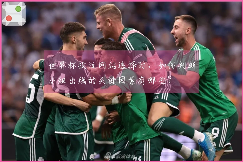 世界杯投注网站选择时，如何判断小组出线的关键因素有哪些？