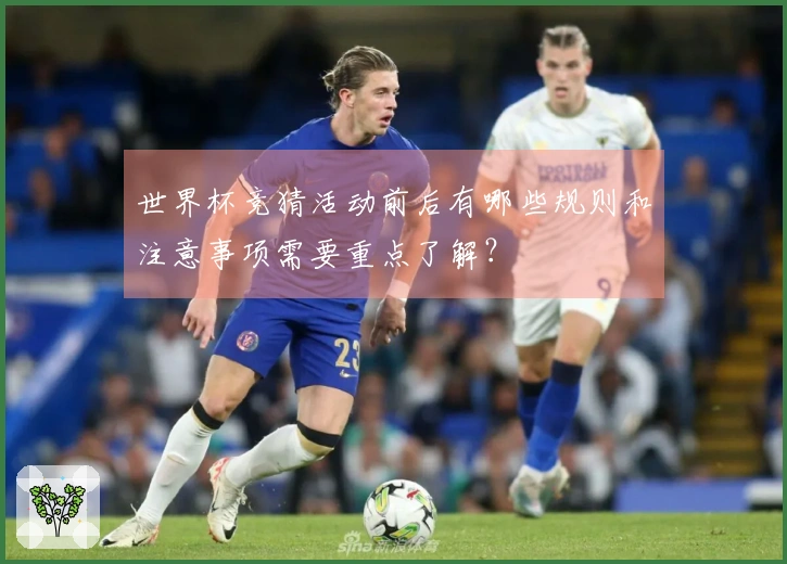 世界杯竞猜活动前后有哪些规则和注意事项需要重点了解？