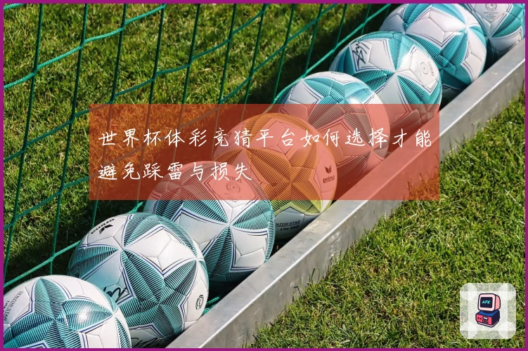 世界杯体彩竞猜平台如何选择才能避免踩雷与损失