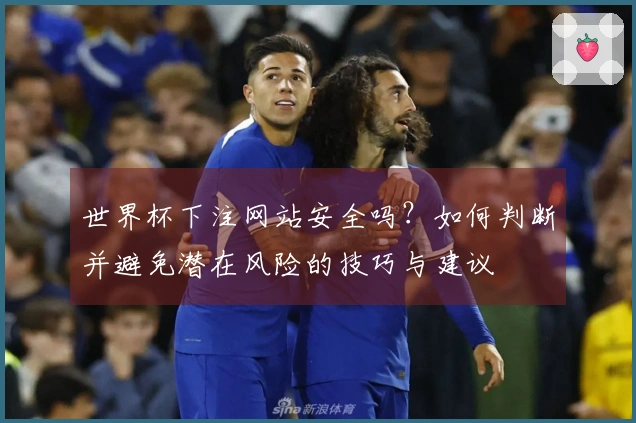 世界杯下注网站安全吗？如何判断并避免潜在风险的技巧与建议