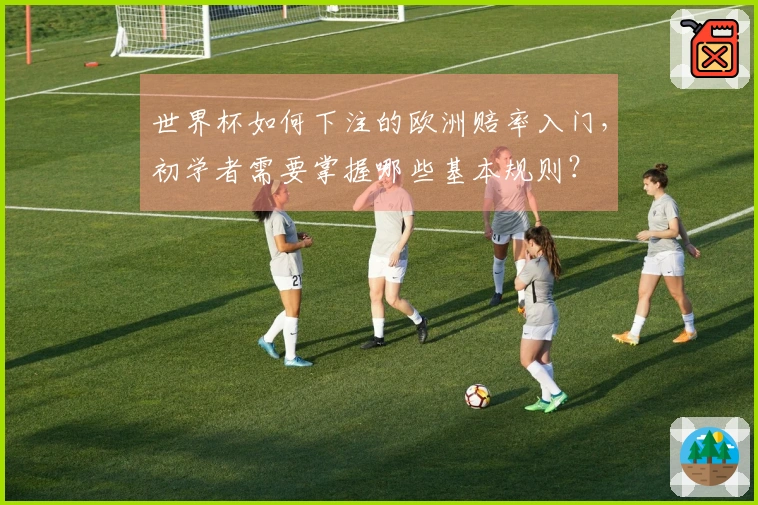 世界杯如何下注的欧洲赔率入门，初学者需要掌握哪些基本规则？
