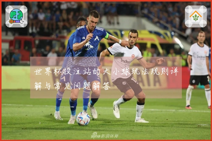 世界杯投注站的大小球玩法规则详解与常见问题解答